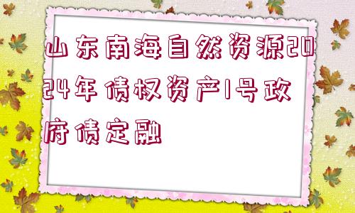 山東南海自然資源2024年債權(quán)資產(chǎn)1號政府債定融