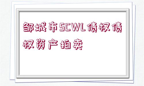 鄒城市SCWL債權債權資產拍賣