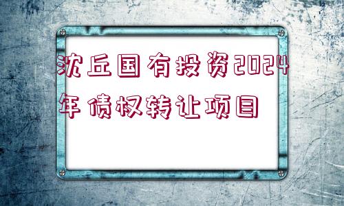 沈丘國(guó)有投資2024年債權(quán)轉(zhuǎn)讓項(xiàng)目