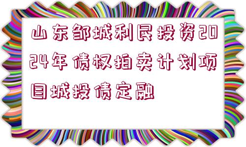 山東鄒城利民投資2024年債權(quán)拍賣計劃項目城投債定融