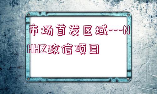 市場首發(fā)區(qū)域---NHHZ政信項目