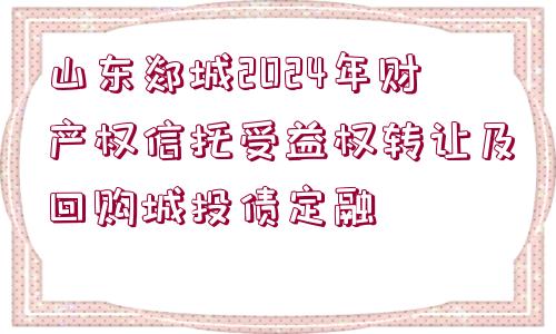 山東郯城2024年財產(chǎn)權信托受益權轉(zhuǎn)讓及回購城投債定融