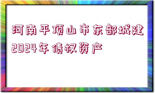 河南平頂山市東部城建2024年債權(quán)資產(chǎn)