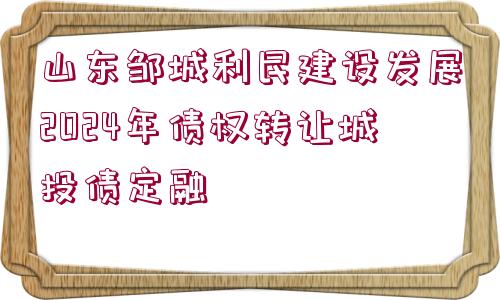 山東鄒城利民建設(shè)發(fā)展2024年債權(quán)轉(zhuǎn)讓城投債定融