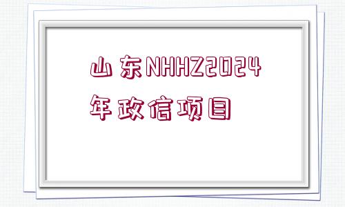 山東NHHZ2024年政信項目