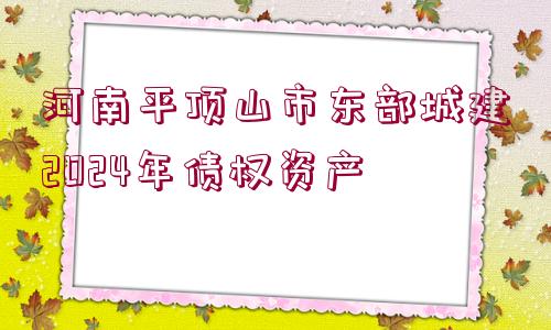 河南平頂山市東部城建2024年債權(quán)資產(chǎn)