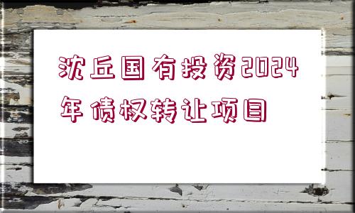 沈丘國(guó)有投資2024年債權(quán)轉(zhuǎn)讓項(xiàng)目