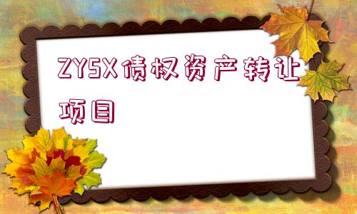 ZYSX債權(quán)資產(chǎn)轉(zhuǎn)讓項目