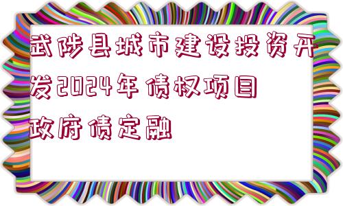 武陟縣城市建設(shè)投資開發(fā)2024年債權(quán)項(xiàng)目政府債定融