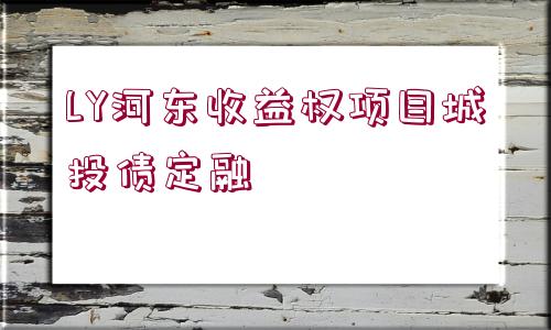 LY河?xùn)|收益權(quán)項目城投債定融