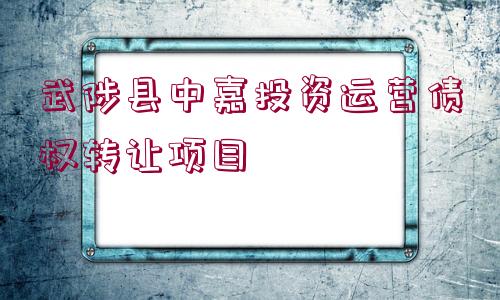 武陟縣中嘉投資運(yùn)營(yíng)債權(quán)轉(zhuǎn)讓項(xiàng)目