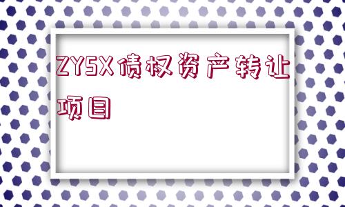 ZYSX債權(quán)資產(chǎn)轉(zhuǎn)讓項(xiàng)目