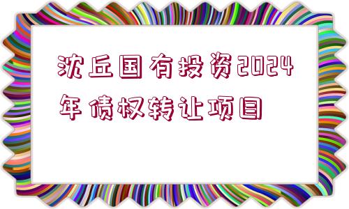 沈丘國(guó)有投資2024年債權(quán)轉(zhuǎn)讓項(xiàng)目