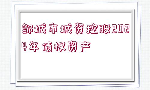 鄒城市城資控股2024年債權(quán)資產(chǎn)