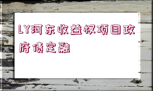 LY河?xùn)|收益權(quán)項目政府債定融