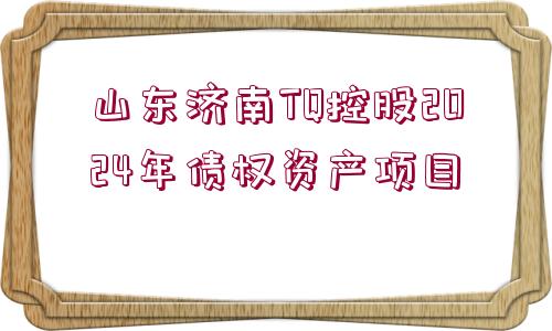 山東濟南TQ控股2024年債權資產項目