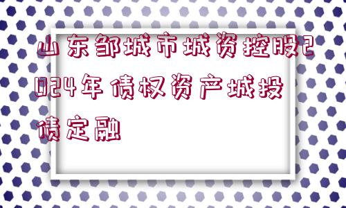 山東鄒城市城資控股2024年債權資產城投債定融