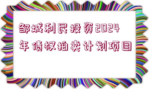 鄒城利民投資2024年債權(quán)拍賣計(jì)劃項(xiàng)目