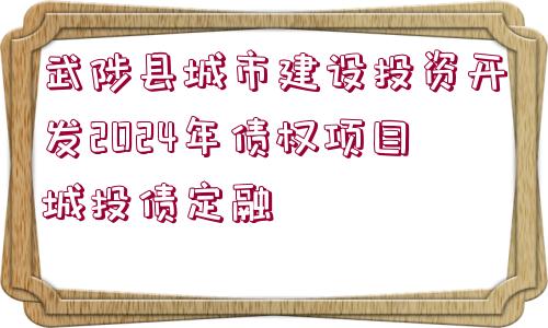 武陟縣城市建設(shè)投資開發(fā)2024年債權(quán)項目城投債定融