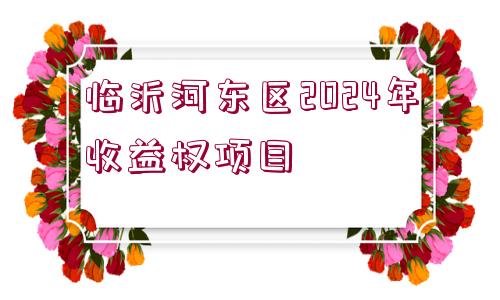 臨沂河東區(qū)2024年收益權項目